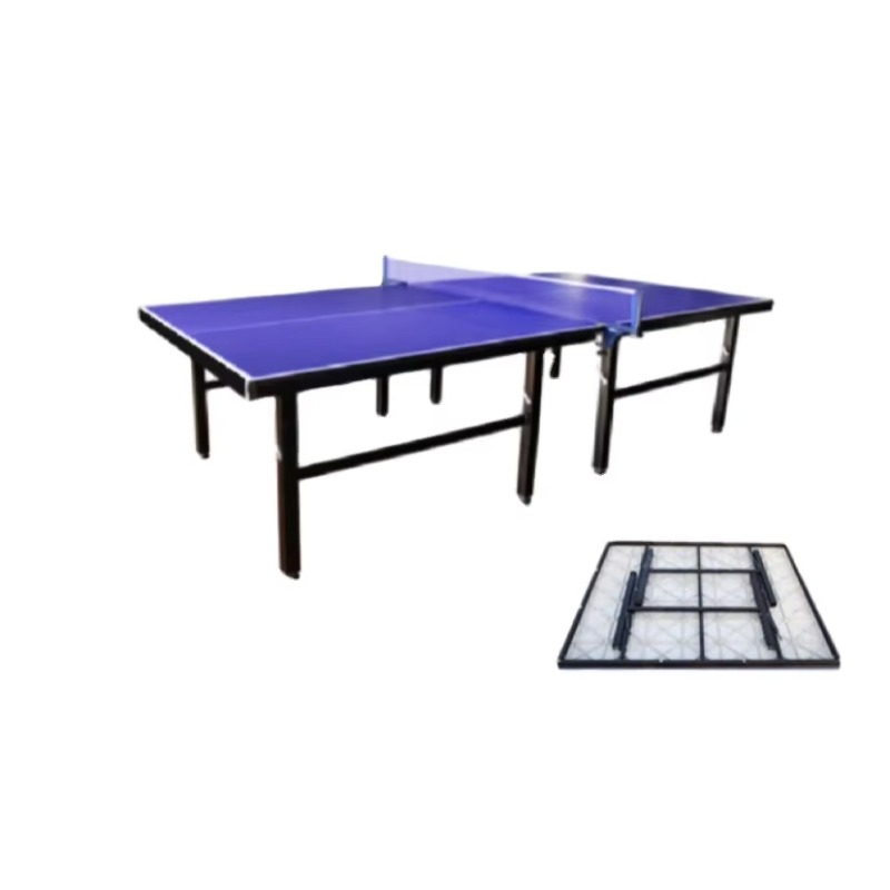 Table Tennis Training - Sıcak Fırsat Onaylı Modern Lüks İç